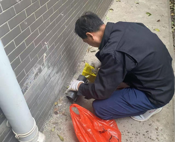 國源物業(yè)：開展鼠害消殺專項工作